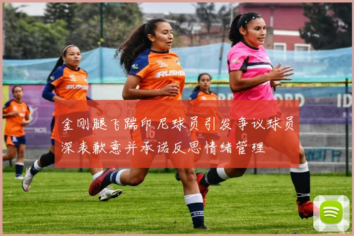 金刚腿飞踹印尼球员引发争议球员深表歉意并承诺反思情绪管理