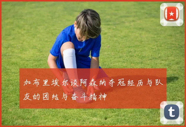 加布里埃尔谈阿森纳夺冠经历与队友的团结与奋斗精神
